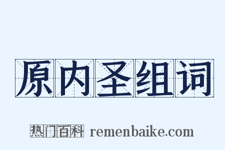 原内圣组词是什么意思的图片